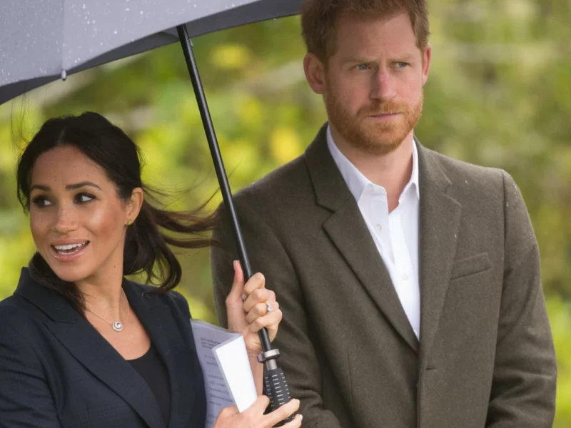 an experts take on prince harry and meghan markles relationship meghan markle and prince harry