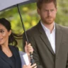 an experts take on prince harry and meghan markles relationship meghan markle and prince harry